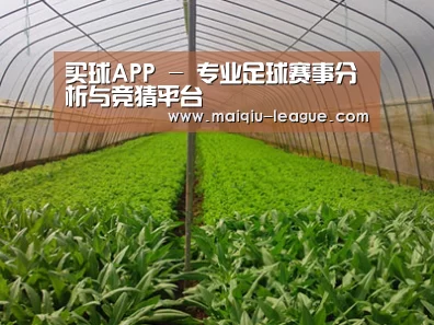 种植基地四